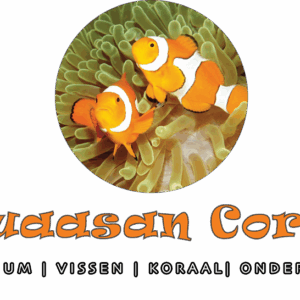 Aquaasan Corals