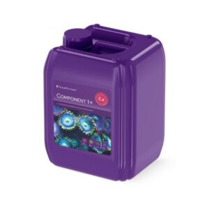 Component 1+ - 5000ml
