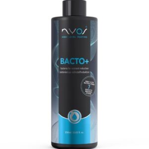Bacto Plus - 250ml