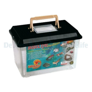 Boxlife Medium 29,5X19,5X20