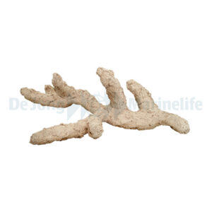 Branch Nature 60 cm
