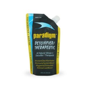 Paradigm Detoxifier - 3,8 l