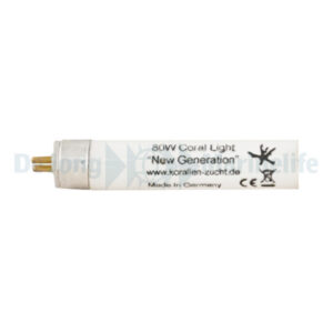 KZ New Generation – 80 W