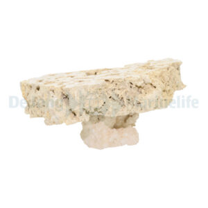 Cutted Top Pedestal Rock - 20-30cm (box 5 pcs) (PBS)