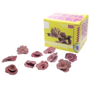 Real Reef Mini Plate Corals – 10pcs