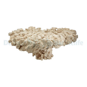 Marcorock - Pedestal Rock (flat top)