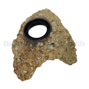 Stream Rock