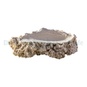 Shell-Holder S