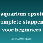 zeeaquarium opzetten - Aquaasan Corals
