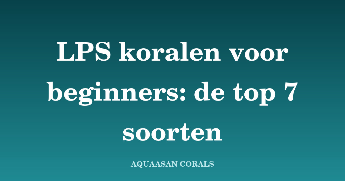 LPS koralen beginners - Aquaasan Corals