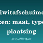 eiwitafschuimer kopen - Aquaasan Corals
