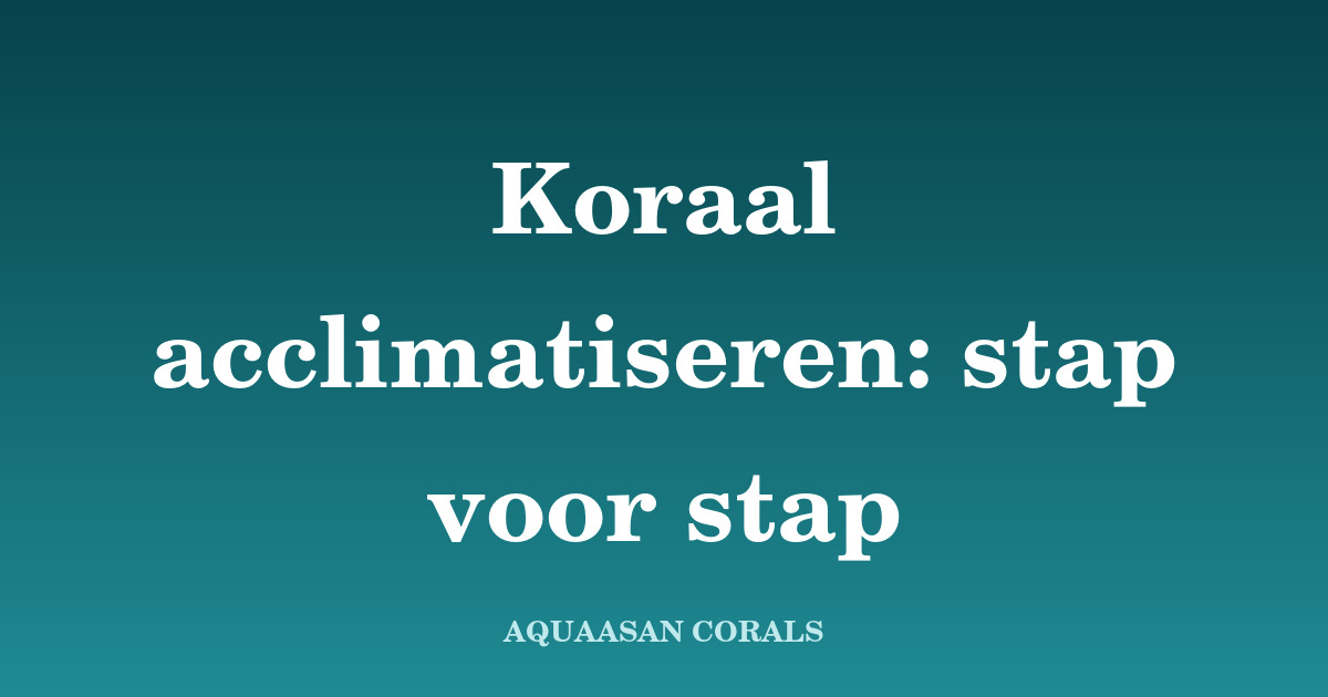 koraal acclimatiseren - Aquaasan Corals