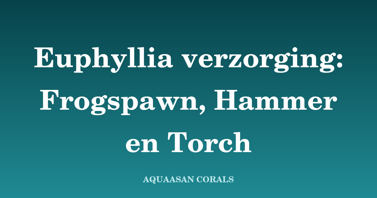 Euphyllia verzorging - Aquaasan Corals
