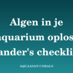 algen zeeaquarium - Aquaasan Corals