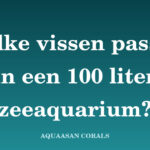 vissen 100 liter - Aquaasan Corals