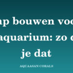 sump zeeaquarium - Aquaasan Corals