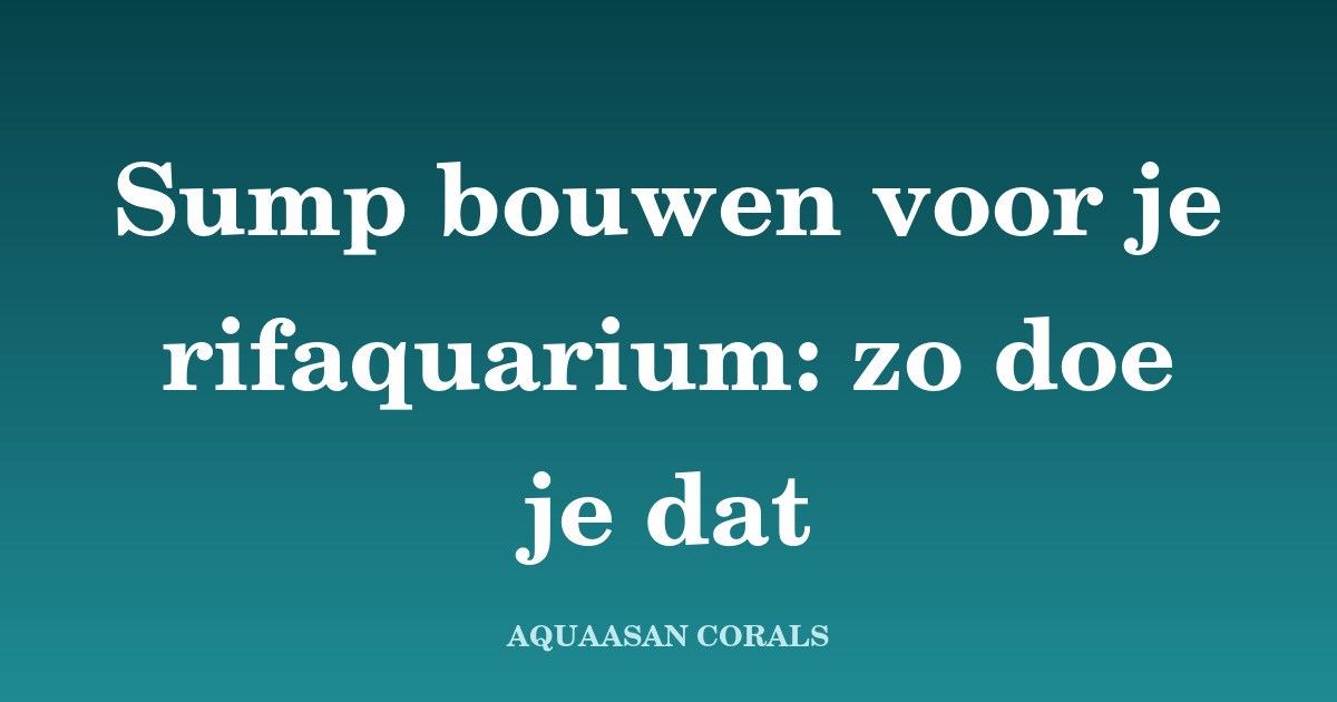 sump zeeaquarium - Aquaasan Corals