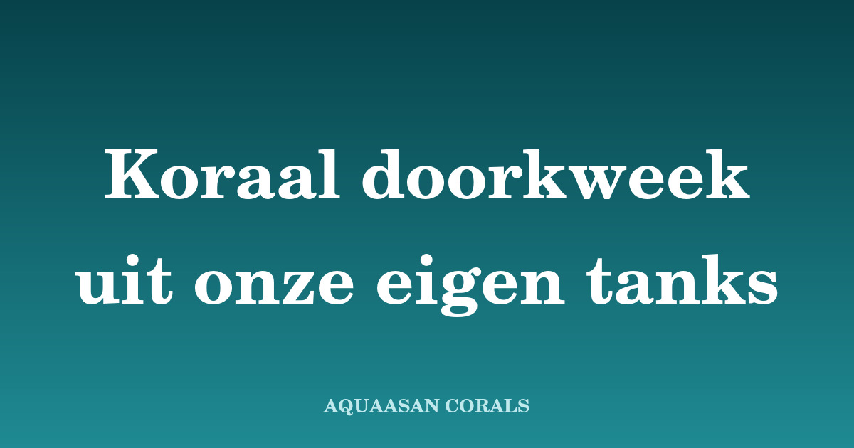 koraal kweken - Aquaasan Corals