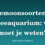 anemoon zeeaquarium - Aquaasan Corals
