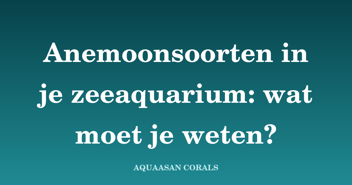 anemoon zeeaquarium - Aquaasan Corals