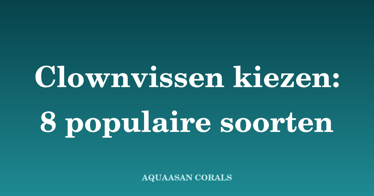 clownvis kopen - Aquaasan Corals