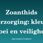 Zoanthus zeeaquarium - Aquaasan Corals