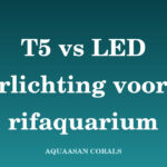 T5 vs LED zeeaquarium - Aquaasan Corals