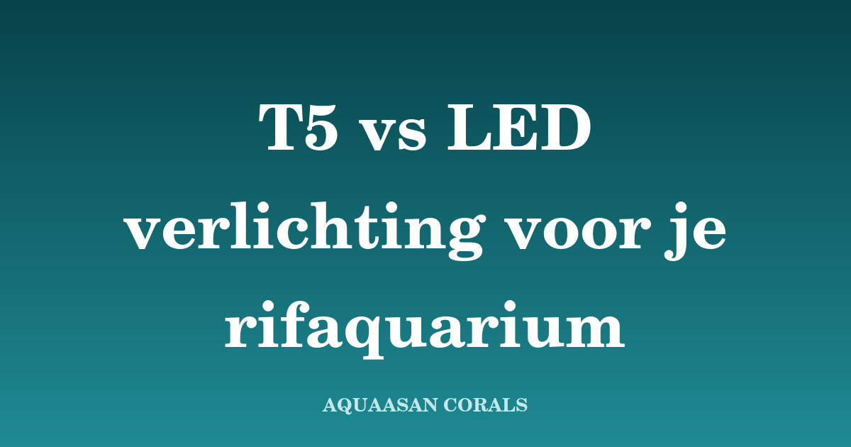 T5 vs LED zeeaquarium - Aquaasan Corals
