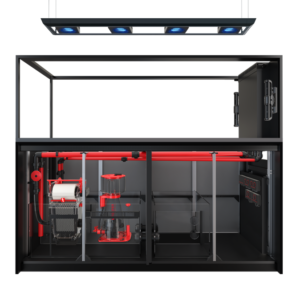 Red Sea REEFER MAX Peninsula S-950 G3 (zwart)